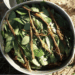 ayahuasca